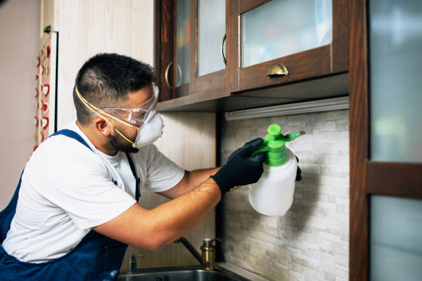 Best Pest Control for Homes  in Holcom, KS