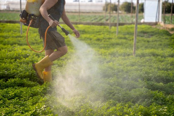 Best Emergency Pest Control  in Holcom, KS