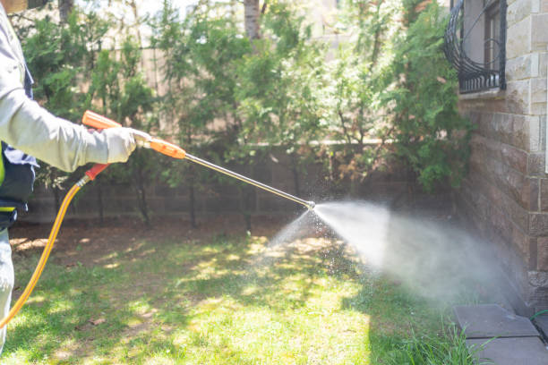 Trusted Holcom, KS Pest Control Experts