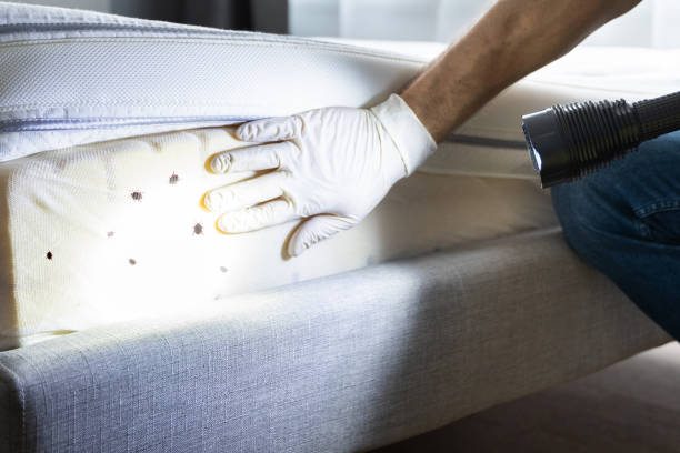 Best Pest Control Near Me  in Holcom, KS