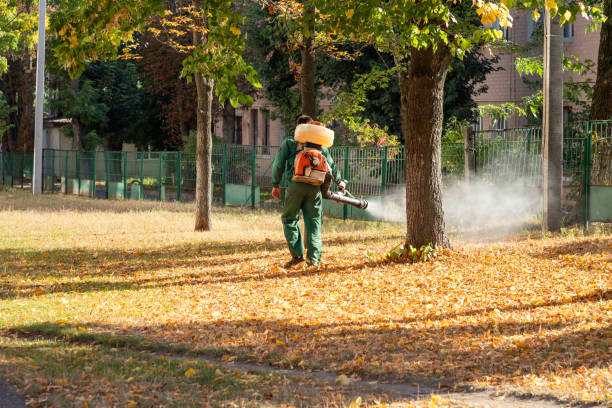 Best Mosquito Control Services  in Holcom, KS
