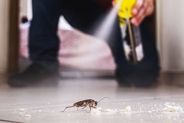 Best Residential Pest Control  in Holcom, KS