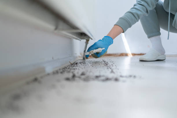 Best Best Pest Control Companies  in Holcom, KS