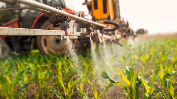 Best Pest Inspection Near Me  in Holcom, KS