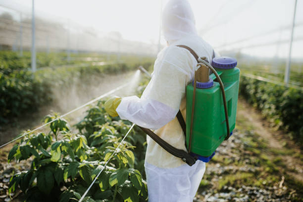 Best Pest Removal Services  in Holcom, KS